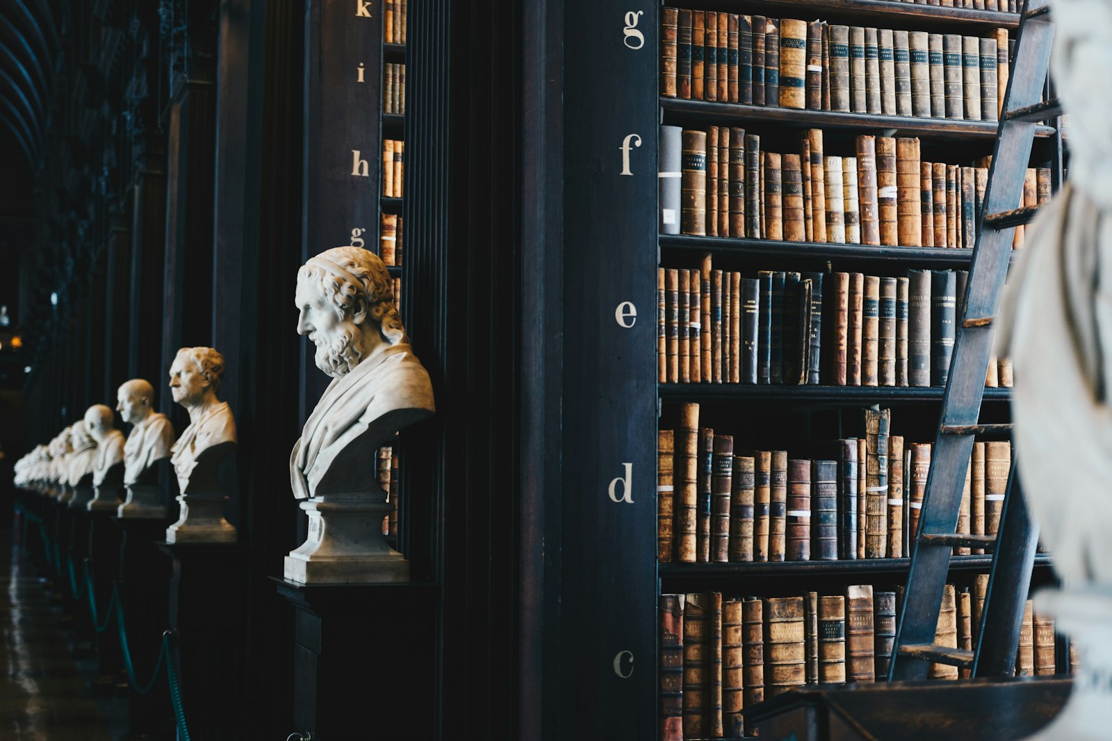 Marble busts lining the dark shelves of a historic library